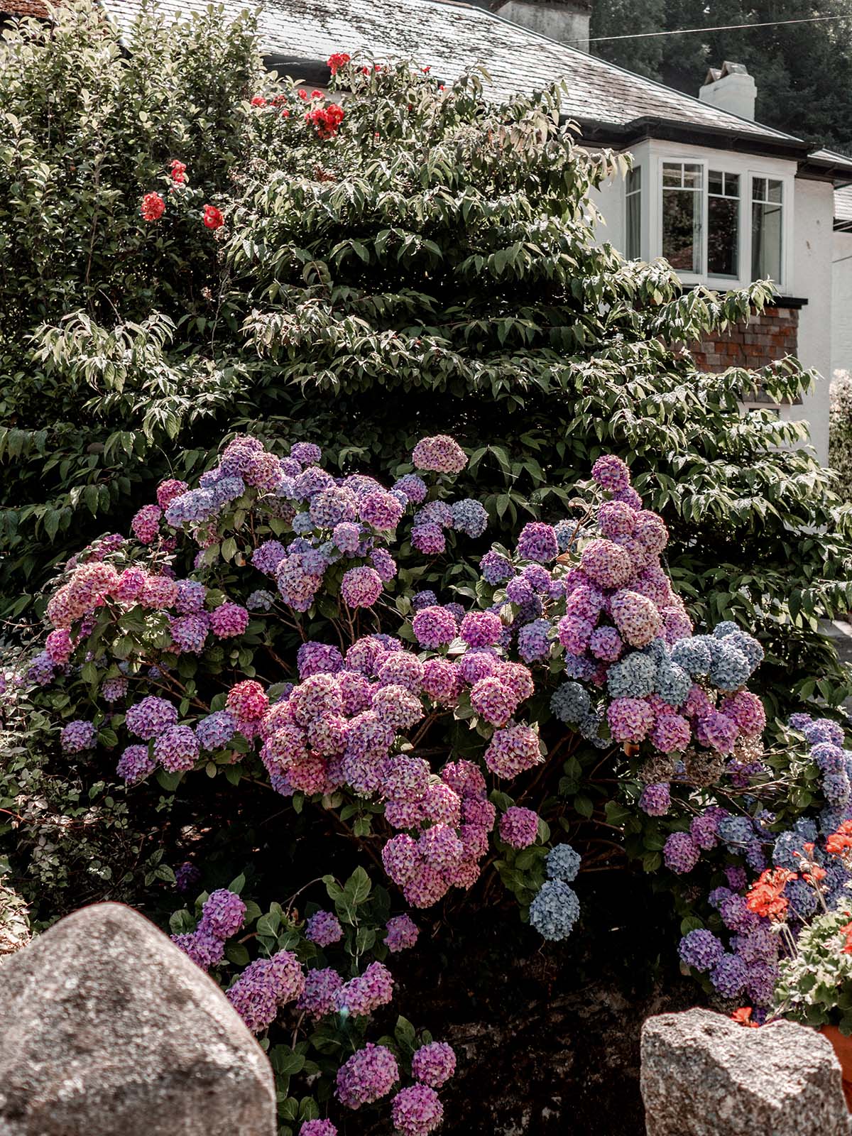 cornwall trip photo diary travelling travel family holiday