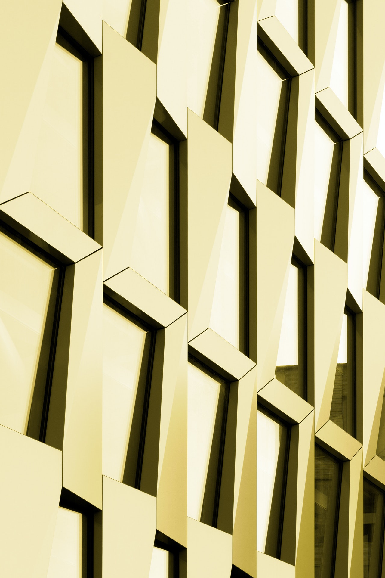 Wood Wall Cladding – The Latest Trend in Interior Design.