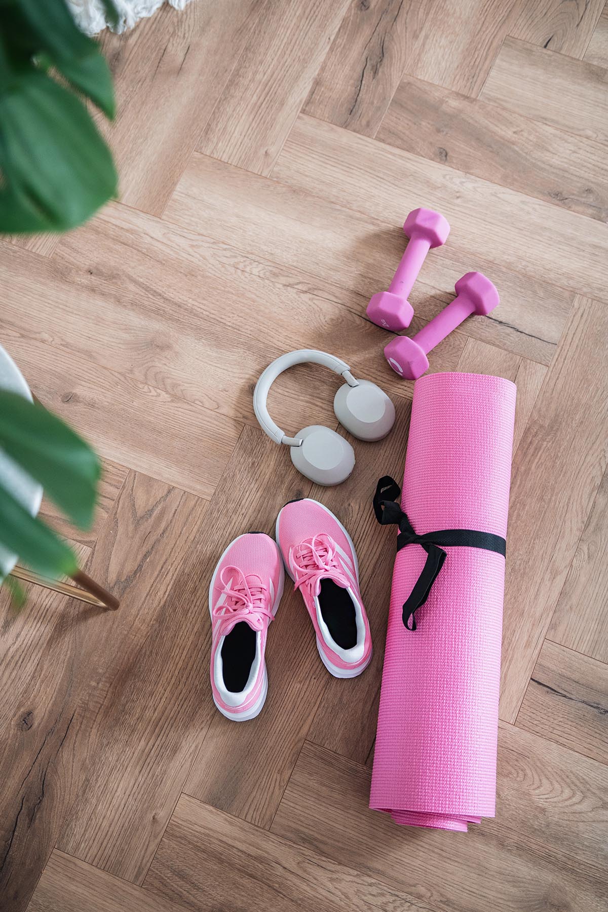 My Fitness Essentials.