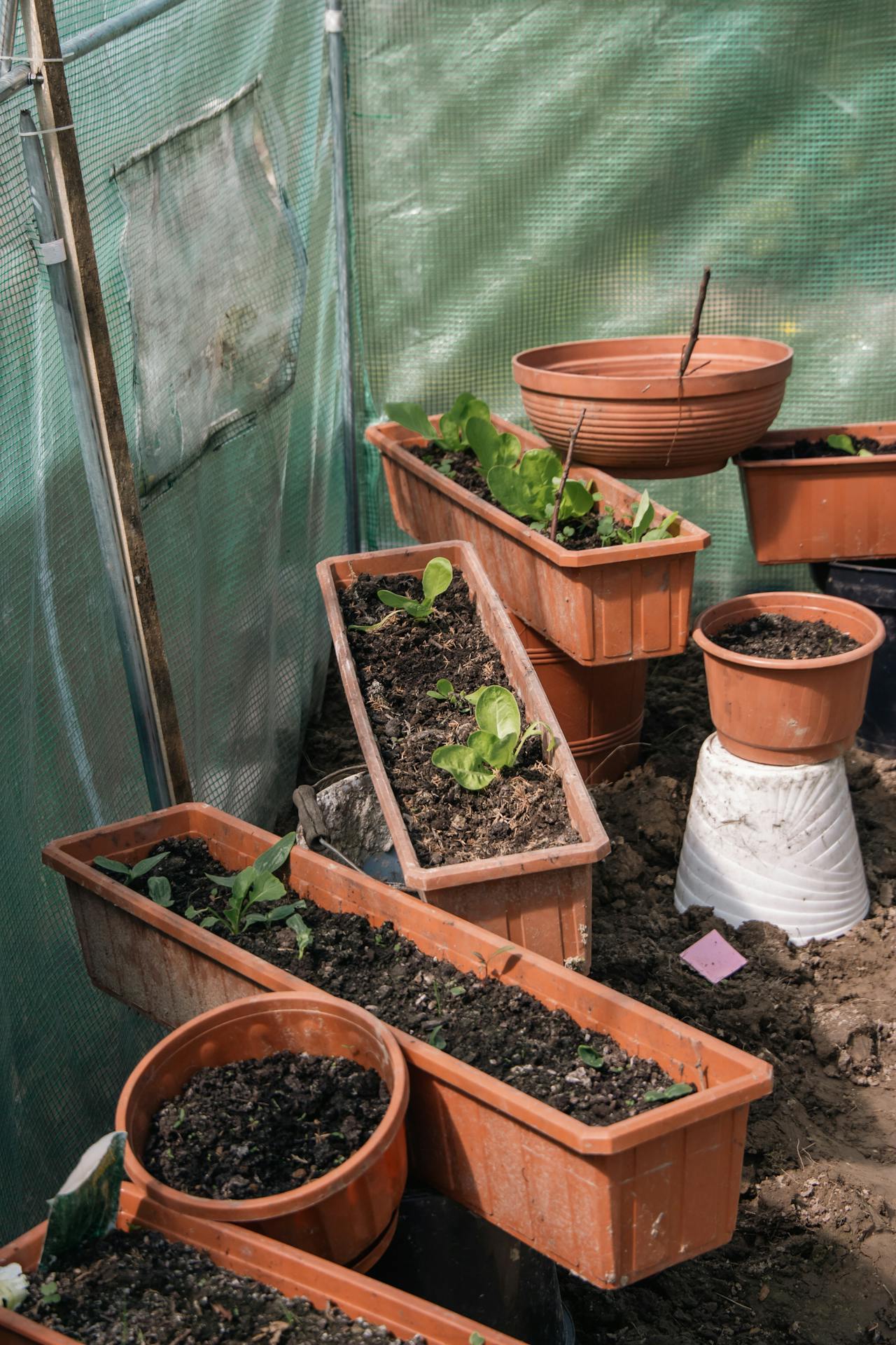 Making Use Of The Space At The Bottom Of Your Garden (3 Great Ideas!)